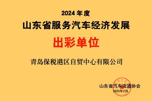 青岛保税港区自贸中心2024出彩单位.jpg